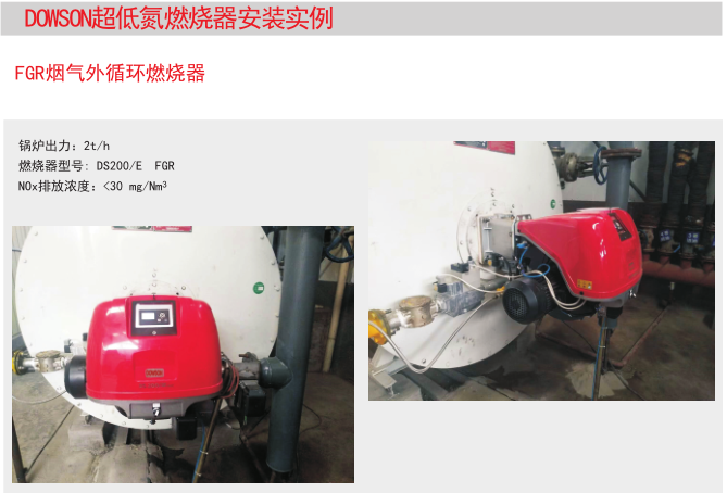 DS200/E FGR安裝實例